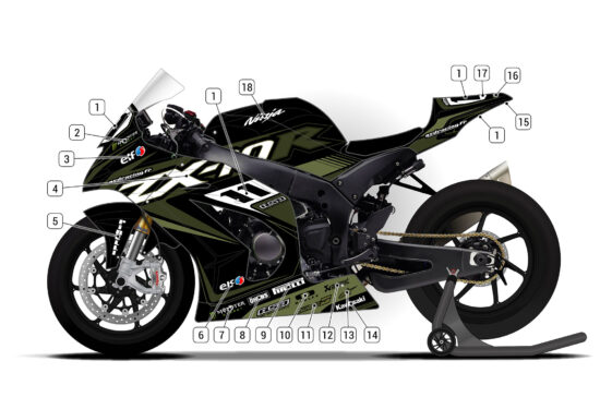 Alternative view of Kawasaki ZX-10R 2011/15 D2