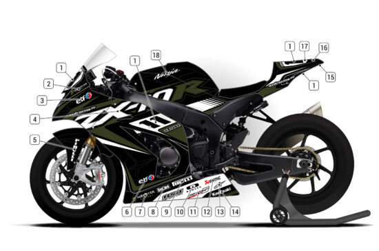 Alternative view of Kawasaki ZX-10R 2011/15 D2