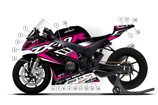 Alternative view of Kawasaki ZX-10R 2011/15 D2