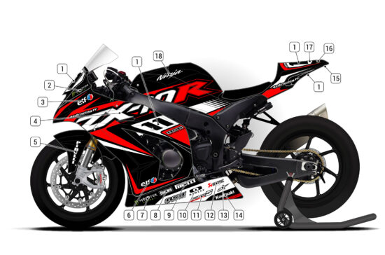 Alternative view of Kawasaki ZX-10R 2011/15 D2