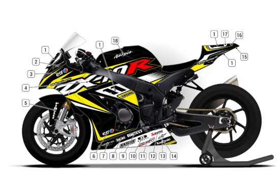 Alternative view of Kawasaki ZX-10R 2011/15 D2