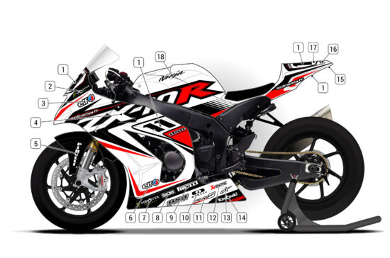 Alternative view of Kawasaki ZX-10R 2011/15 D2