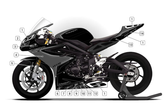 Alternative view of Triumph Daytona 675R 2013/16