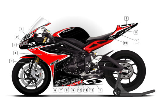Alternative view of Triumph Daytona 675R 2013/16
